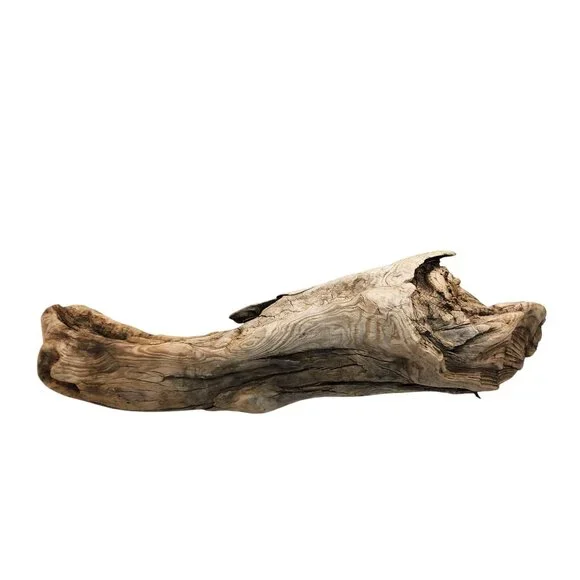 Natural Driftwood Decor Piece For Crafting Aquariums Reptile Tanks Or Rustic Dis - Picture 14 of 14